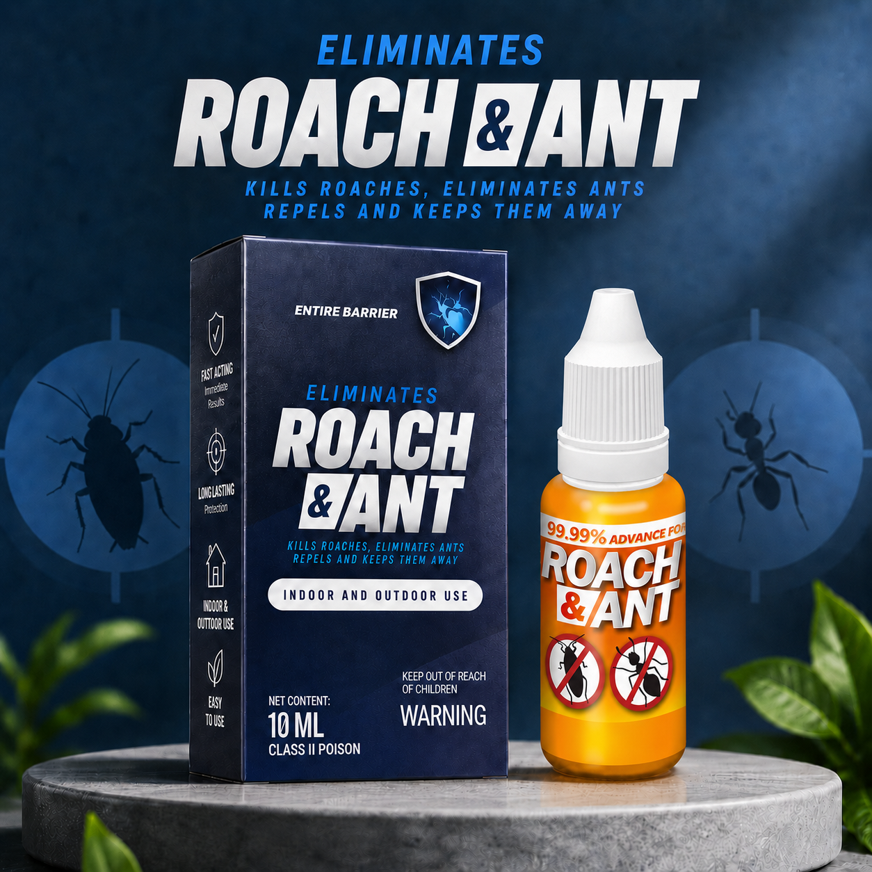 Roach & Ant